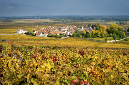 夜丘(cote de nuits,伯恩丘(cote de beaune,夏隆内丘(cote