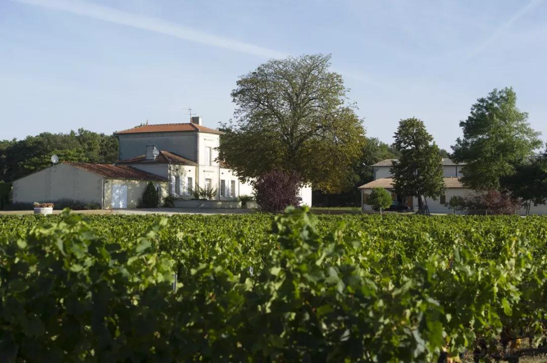 穆莱酒庄位于波尔多左岸的上梅多克(haut-medoc)产区.