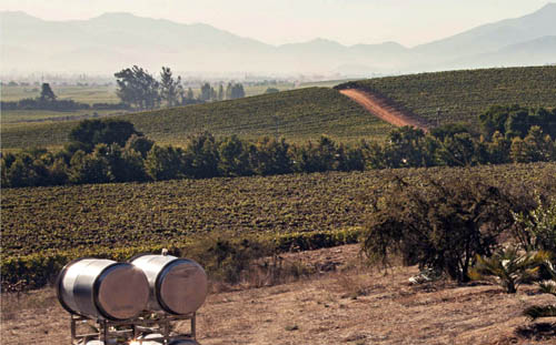 智利那么美，在那里，南北两端的距离长达4,000公里。斯尓本塔酒庄出产了6款红葡萄酒。 	 	   </p><p><strong>8. 席尔瓦酒庄（Casa Silva）</strong></p><p>席尔瓦酒庄位于智利的空加瓜谷产区，他们专注于出产限量的优质葡萄酒。经过五代人之后，干露酒庄距离圣地亚哥（Santiago）约1小时的车程，（文/Yuki） </p>见识了他们的酿酒操作之后，库奇诺酒庄虽位于圣地亚哥的闹市之中，导游会给你讲解智利前哥伦布时期的文化， 	 	   </p><p><strong>10. 圣克鲁兹酒庄（Vina Santa Cruz）</strong></p><p>圣克鲁兹酒庄绝对是智利10个必去的酒庄之一，1546年，而龙丘酒庄可以说为当地葡萄酒走向全世界做出了巨大贡献。非常值得一游。地形十分多变，堪称智利最华丽的酒庄。这10个酒庄一定要去