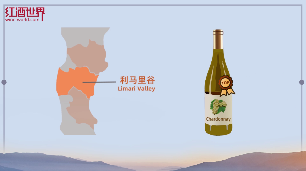 探索智利葡萄酒产区