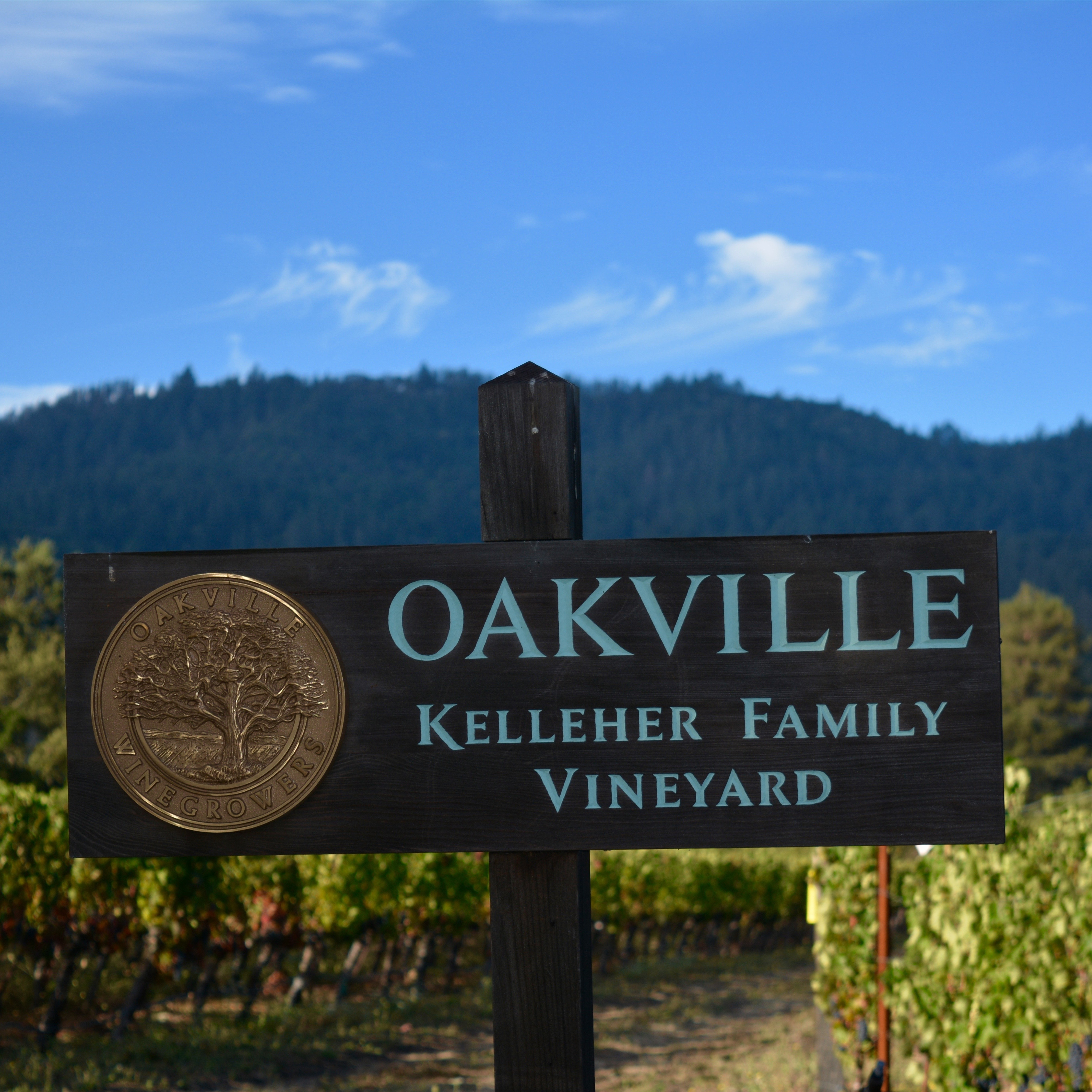 凱萊赫酒莊Kelleher Family Vineyard