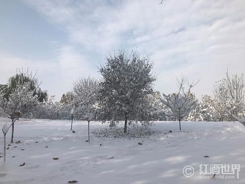 晚来天欲雪，能饮一杯无？