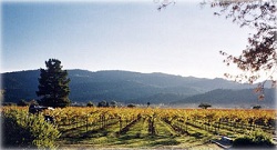 EMH酒莊EMH Vineyards