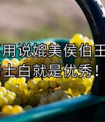 真沒有必要把【騎士白】吹上天，但不可否認千元價位，騎士白是神一樣強大的存在