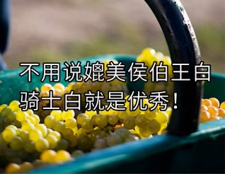 真没有必要把【骑士白】吹上天，但不可否认千元价位，骑士白是神一样强大的存在