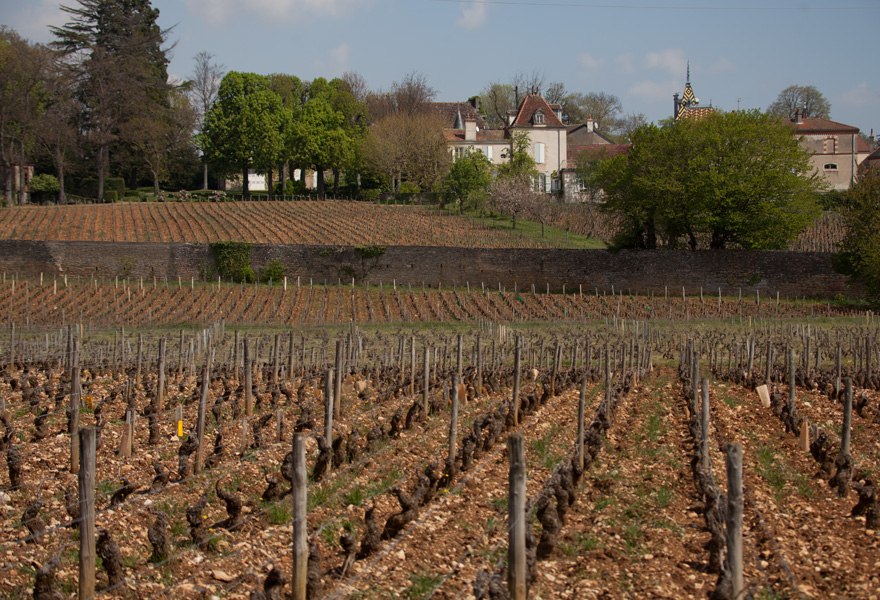 塞纳伯爵酒庄(Domaine Comte Senard)