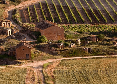 西班牙：2015年葡萄大歉收，西班产量以及品质兼立异高