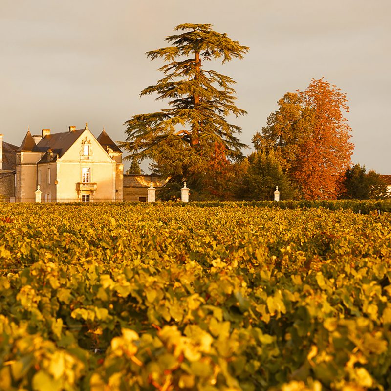 拉雅酒莊(Chateau La Haye)