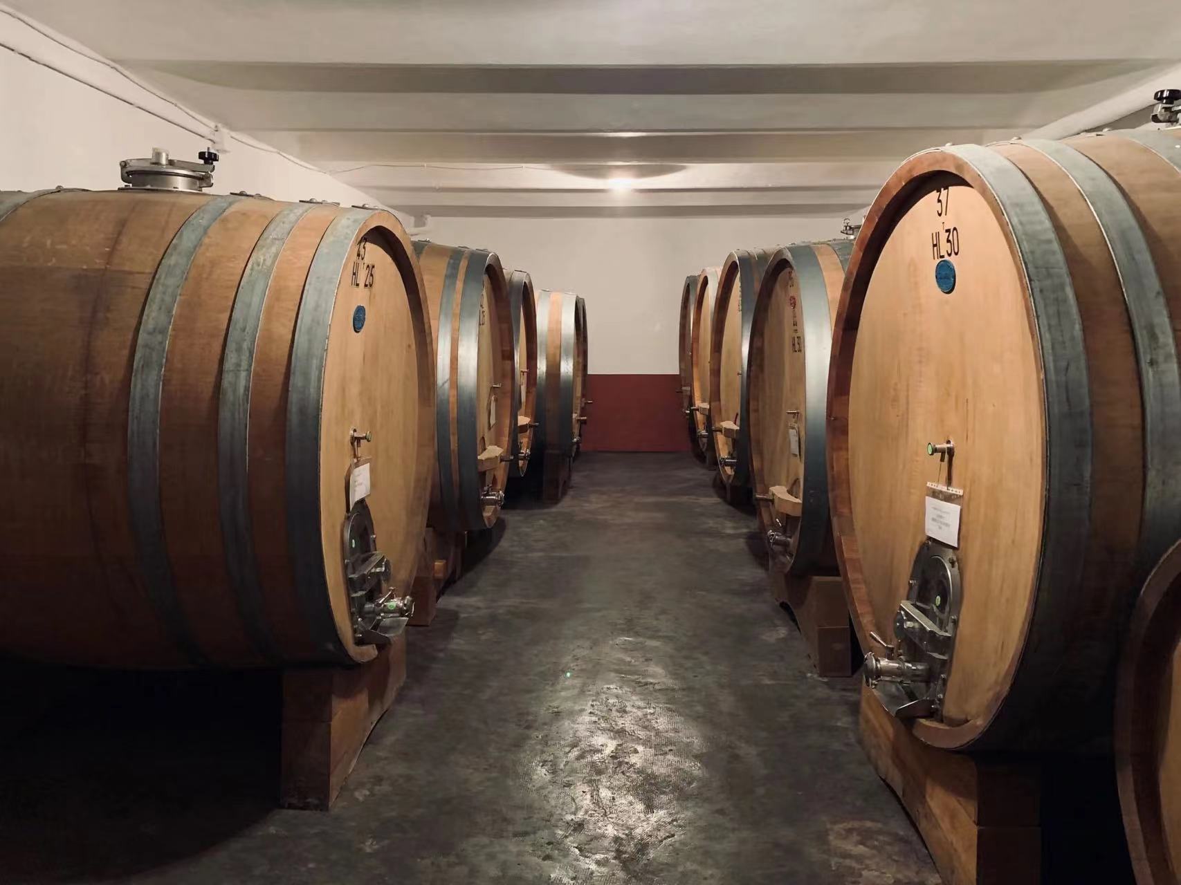 意大利本土品种的绽放：艾泽利酒庄蓬塔巴贝拉