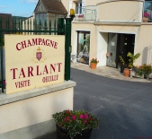 塔蘭香檳Champagne Tarlant