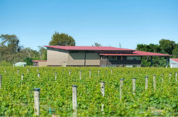 格拉斯頓酒莊Gladstone Vineyard