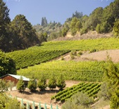 阿爾法羅家族酒莊Alfaro Family Vineyard & Winery