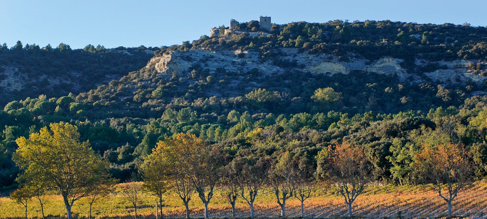 法国最美葡萄酒产区，法国看一眼便会爱上它