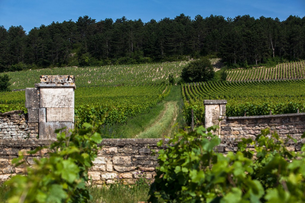 勃艮第葡萄酒：从王权时代到法国大革命时期