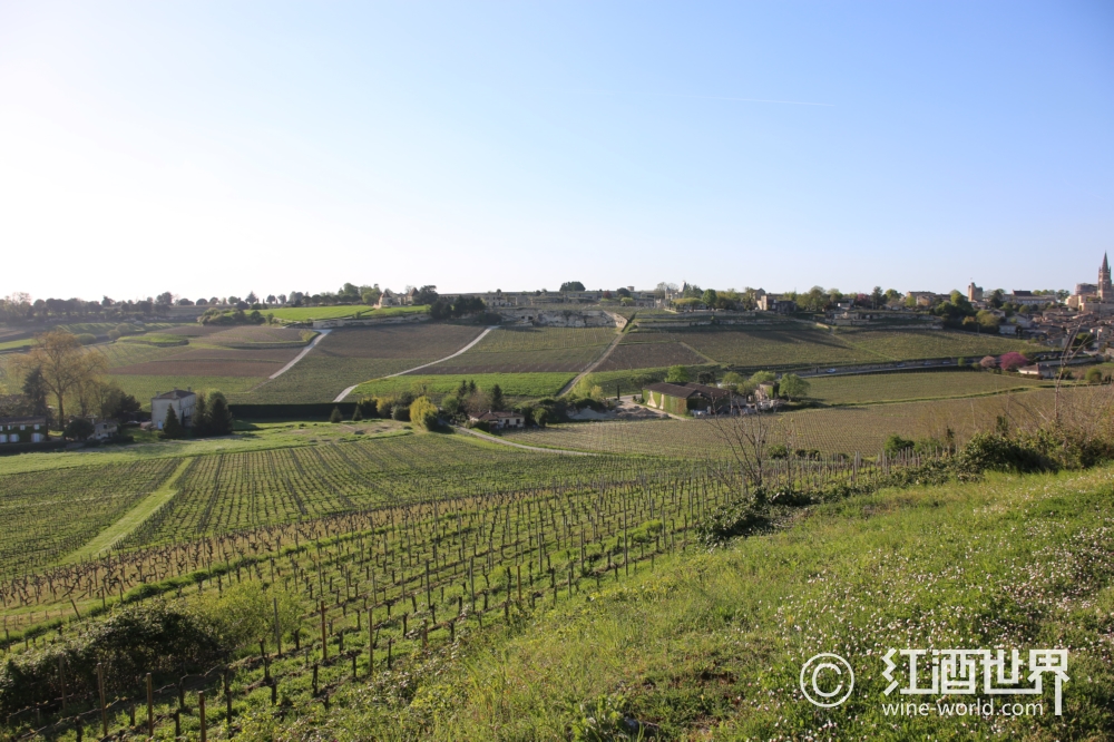 法国有哪些葡萄酒产区被列降生界横蛮遗产名录？