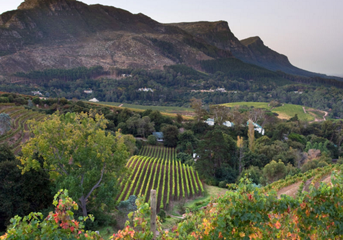 南非葡萄酒行动四月将在香港睁开
