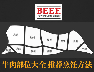 牛肉部位大全及推薦烹飪方法