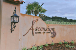 阿森松酒莊Ascension Wine Estate