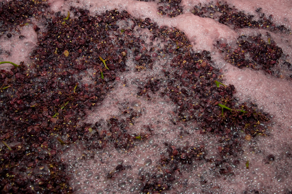 高温或者是甚样适宜高温，甚么样的温度最温度最适宜葡萄酒发酵？