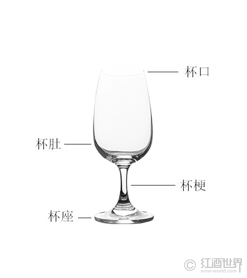 你认识葡萄酒杯的结构吗？