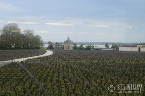 综览法国主要葡萄酒产区的好年份