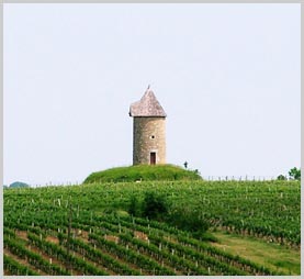 瑪婷酒莊Chateau Martet