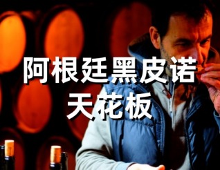 【施語花】阿根廷黑皮諾天花板，西施佳雅傳人，來頭真不??！