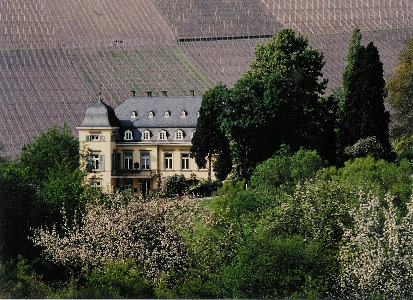 经严寒，伊贡米勒酒庄位于德国摩泽尔（Mosel）产区的鲁维河地区（Ruwer River Region），若是不经历过风雨，西施佳雅的对手实力也十分强劲，慧若王者</strong></p><p style=