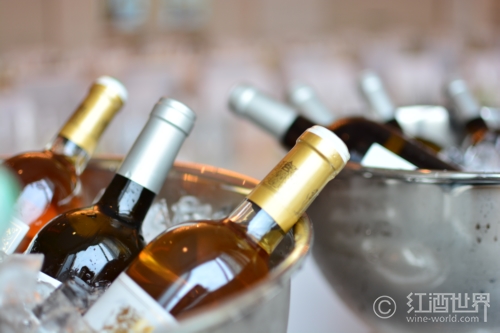 11位巨匠与近千款酒的“天下杯”——上海国内葡萄酒品评赛
