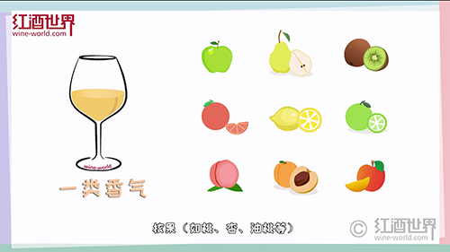 闻香识酒：常见葡萄品种的香气类型