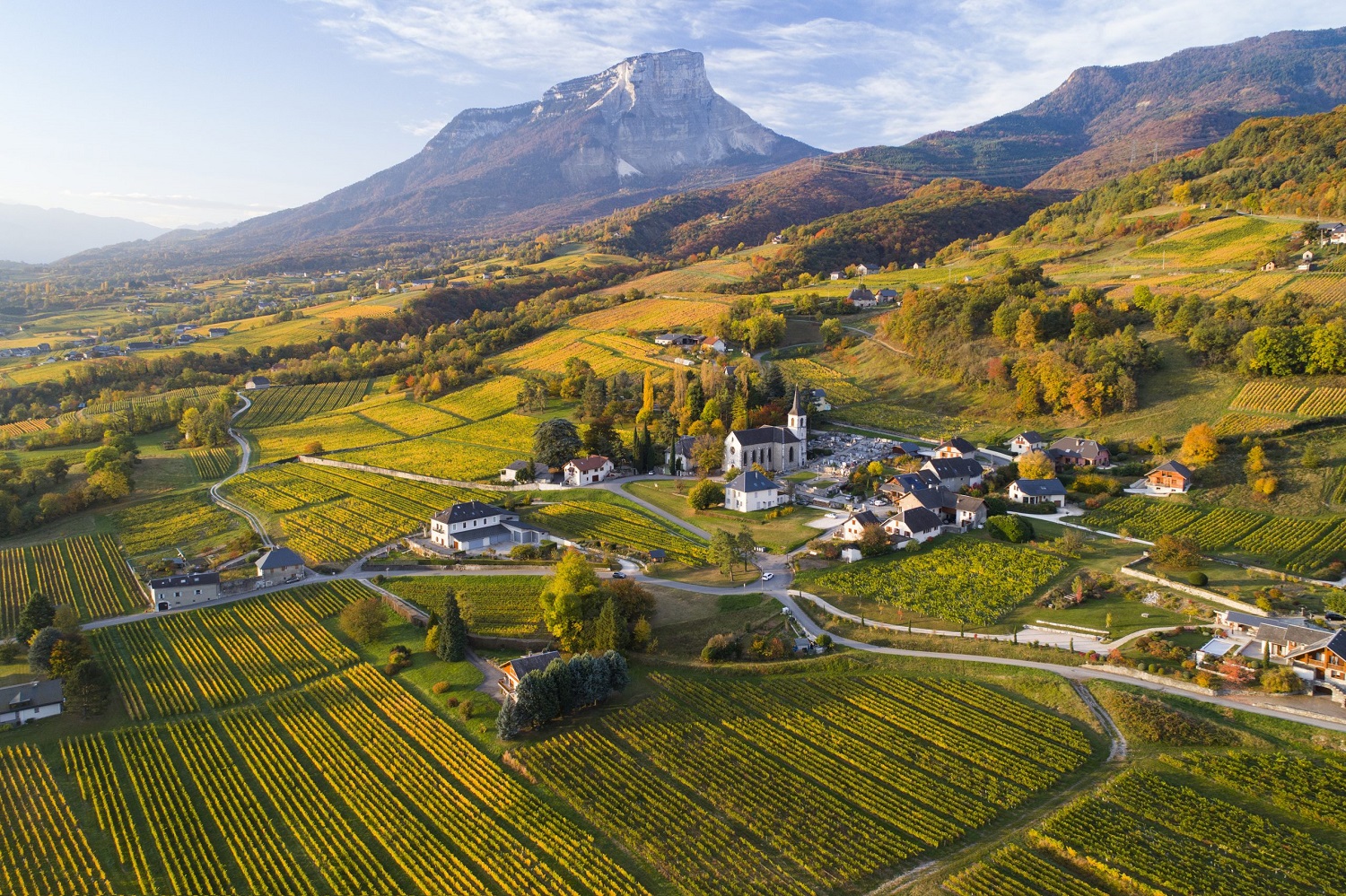 别具瑞士风情的法国产区——萨瓦
