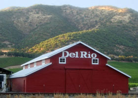 德利奧酒莊(Del Rio Vineyards)