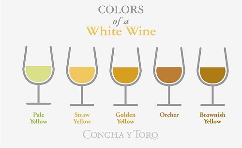 葡萄酒如何分类？