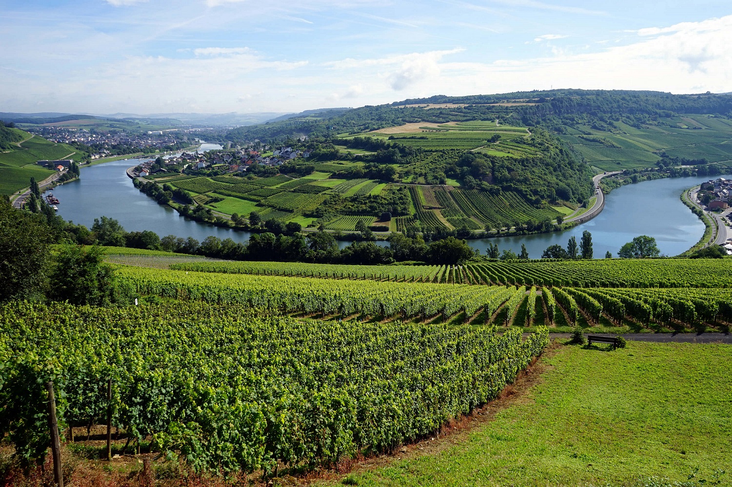 关于卢森堡葡萄酒，你了解多少？