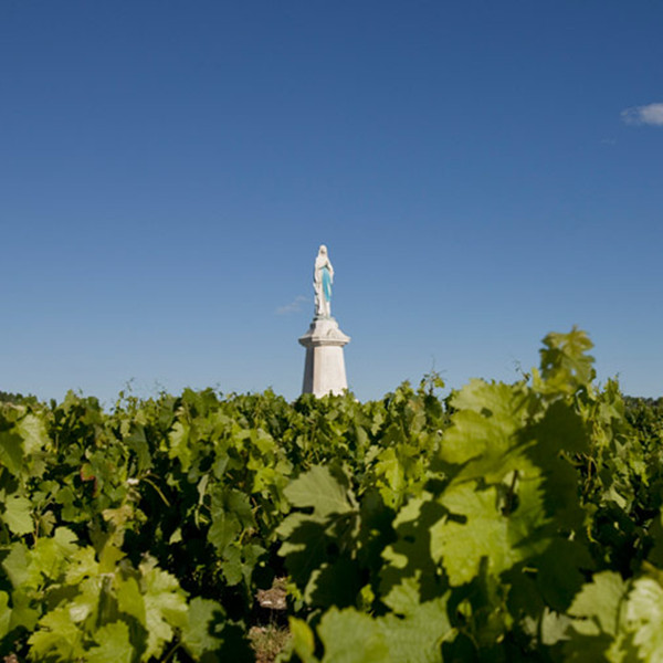 蒙斯之塔酒莊Chateau La Tour de Mons