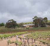 格林諾克酒莊(Greenock Creek Vineyard)