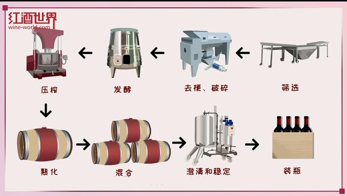 紅、白葡萄酒的釀造故事