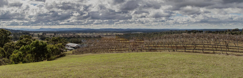 澳大利亚十大葡萄酒产区