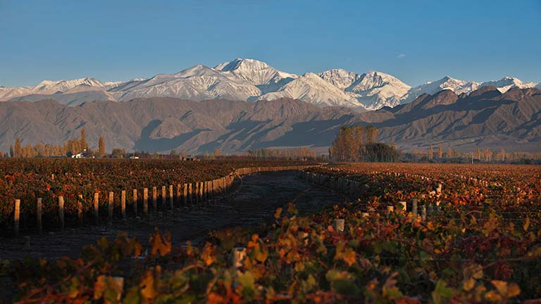 安第斯山脉对阿根廷葡萄酒的影响