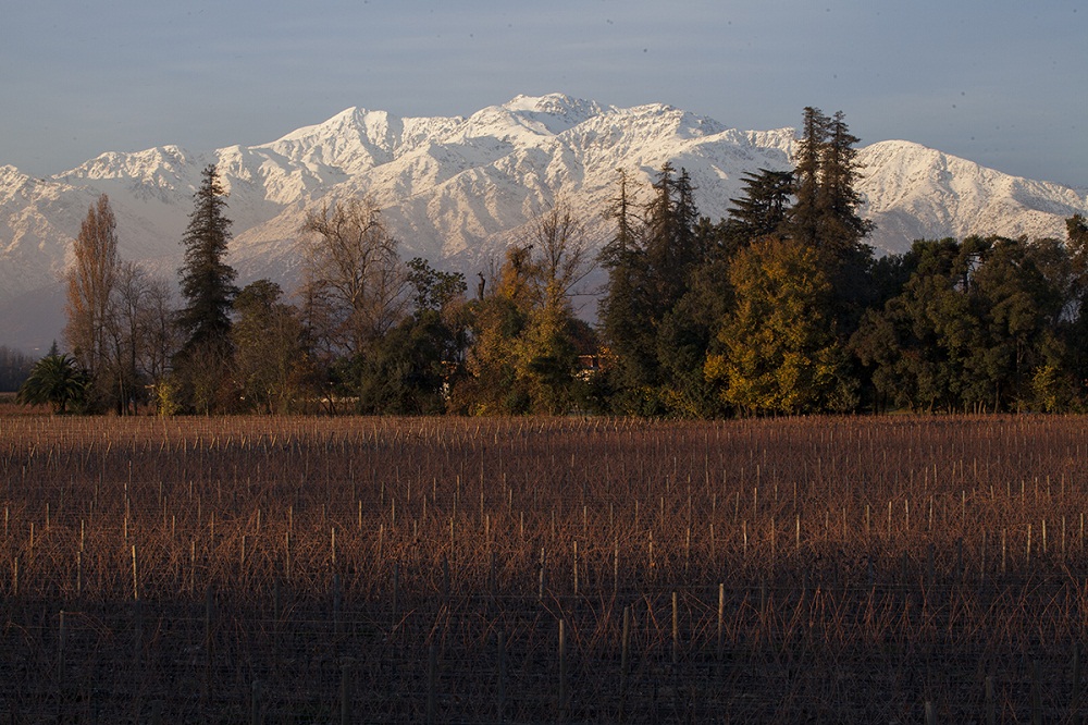 迈坡谷，智利葡萄酒的起源