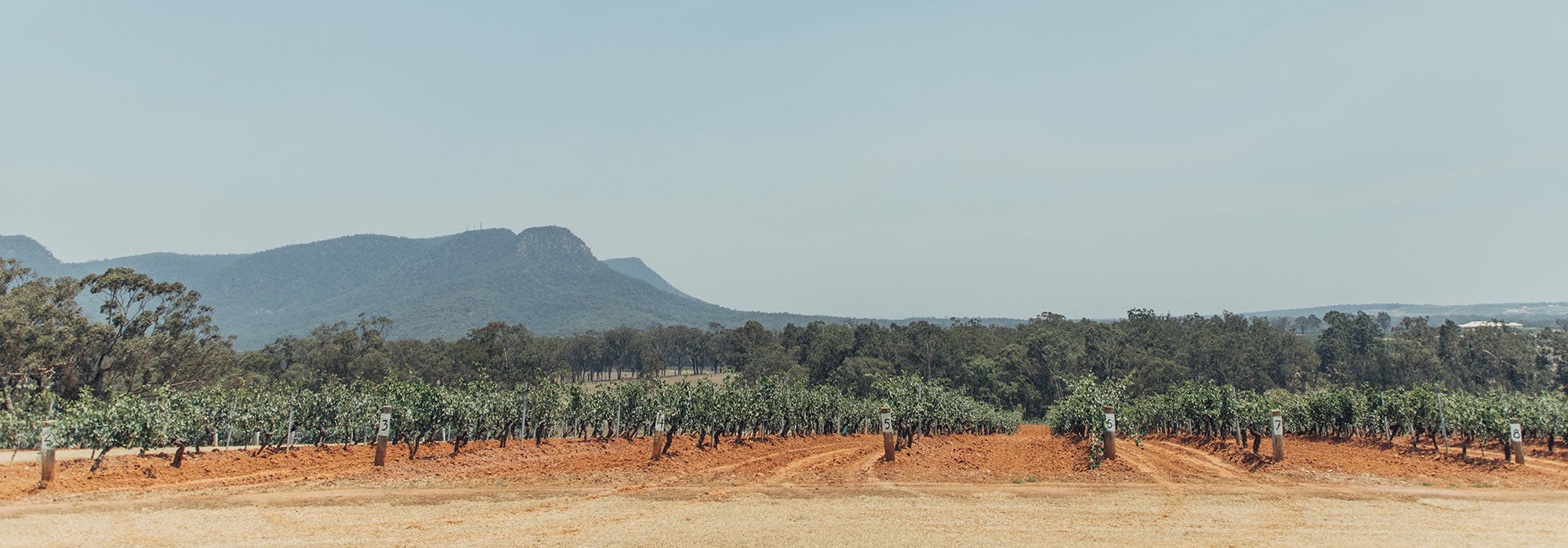 猎人谷——澳洲最古老的葡萄酒产区 