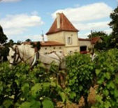 老莫涅酒莊Chateau Vieux Mougnac