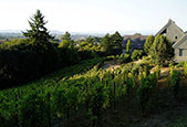 哈勒克酒莊Halleck Vineyard