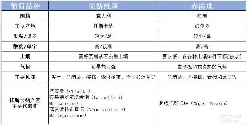 桑娇维塞VS赤霞珠，托斯卡纳两大“红”