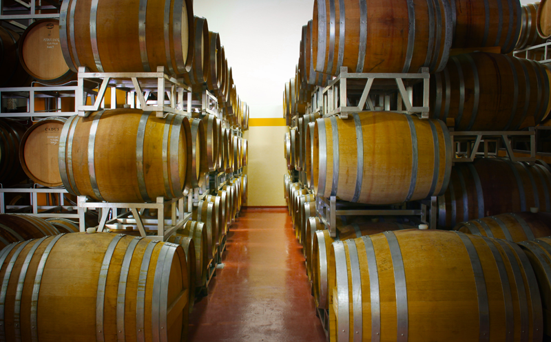 福山酒庄：瓦坡里切拉百年杰作名庄