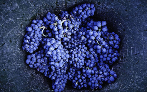 最罕有的十大红葡萄种类