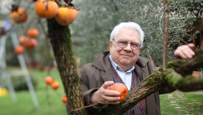 50年激情，“意大利葡萄酒之父”贾科莫·塔吉斯