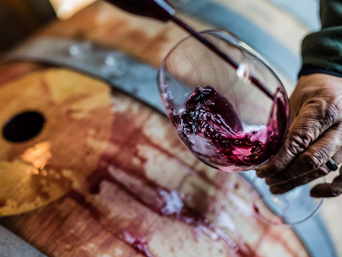 酿酒工艺如何影响葡萄酒的风格？