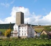 Chateau Odilon Peyre Lebade, Haut Medoc, France-岩石古堡葡萄酒