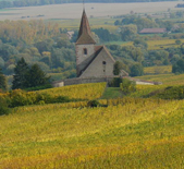 鴻布列什酒莊(Domaine Zind-Humbrecht)